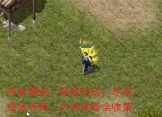 传奇霸业:纵横玛法,尽享极致传奇,大神攻略全收集 传奇霸业:纵横玛法,尽享极致传奇,大神攻略全收集