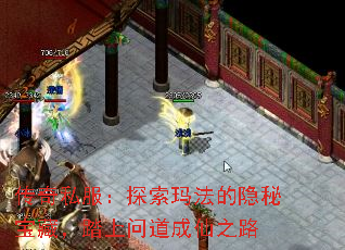 传奇私服:探索玛法的隐秘宝藏,踏上问道成仙之路 传奇私服:探索玛法的隐秘宝藏,踏上问道成仙之路