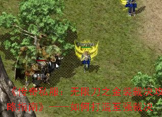 《传奇私服:无限刀之金装裁决攻略指南》——如何打造至强裁决 《传奇私服:无限刀之金装裁决攻略指南》——如何打造至强裁决