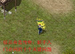 极品合击传奇:新手入门必问的十个关键问题 极品合击传奇:新手入门必问的十个关键问题