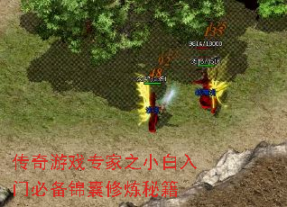 传奇游戏专家之小白入门必备锦囊修炼秘籍 传奇游戏专家之小白入门必备锦囊修炼秘籍