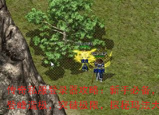 传奇私服登录器攻略:新手必备,速成登峰造极,突破极限,探秘玛法大陆 传奇私服登录器攻略:新手必备,速成登峰造极,突破极限,探秘玛法大陆