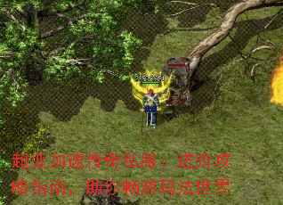 超变加速传奇私服:进阶攻略指南,助你畅游玛法世界 超变加速传奇私服:进阶攻略指南,助你畅游玛法世界