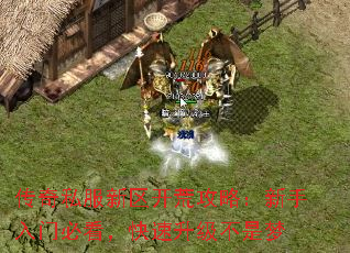 传奇私服新区开荒攻略:新手入门必看,快速升级不是梦 传奇私服新区开荒攻略:新手入门必看,快速升级不是梦