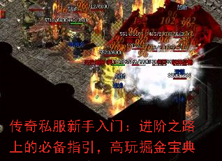 ����˽���������ţ�����֮·�ϵıر�ָ���������𱦵�