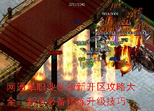 网通单职业私服新开区攻略大全:新手必备修炼升级技巧 网通单职业私服新开区攻略大全:新手必备修炼升级技巧