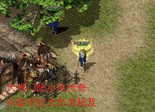 大掌门陆小凤传奇:从新手到大师的秘笈 大掌门陆小凤传奇:从新手到大师的秘笈