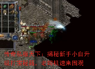 传奇私服天下:揭秘新手小白升级打宝秘籍,老司机速来围观 传奇私服天下:揭秘新手小白升级打宝秘籍,老司机速来围观