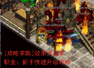 [��������]Ч�������ְҵ�����ֿ�����������