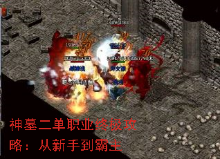 神墓二单职业终极攻略:从新手到霸主 神墓二单职业终极攻略:从新手到霸主