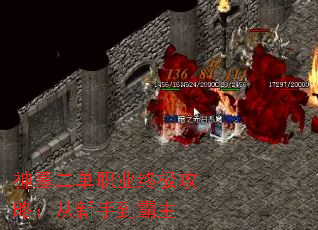 神墓二单职业终极攻略:从新手到霸主 神墓二单职业终极攻略:从新手到霸主