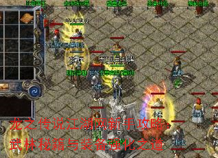 龙之传说江湖网新手攻略:武林秘籍与装备强化之道 龙之传说江湖网新手攻略:武林秘籍与装备强化之道