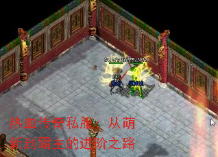 热血传奇私服:从萌新到霸主的进阶之路 热血传奇私服:从萌新到霸主的进阶之路