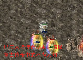 �귨��½�������������ظ��Ŵ����еĲ�Ϊ��֪