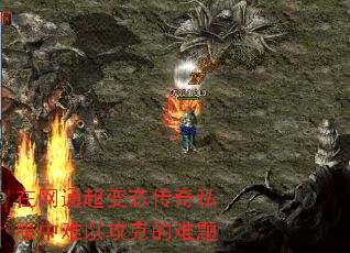 ����ͨ����̬����˽�������Թ��˵�����