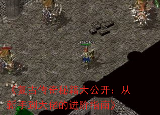 《复古传奇秘籍大公开:从新手到大佬的进阶指南》 《复古传奇秘籍大公开:从新手到大佬的进阶指南》