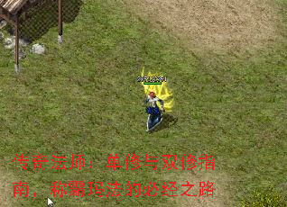 传奇法师:单修与双修指南,称霸玛法的必经之路 传奇法师:单修与双修指南,称霸玛法的必经之路