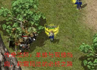 传奇法师:单修与双修指南,称霸玛法的必经之路 传奇法师:单修与双修指南,称霸玛法的必经之路