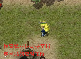 传奇私服被劫持至指定网站的应对策略 传奇私服被劫持至指定网站的应对策略