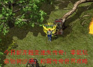 今日新开超变迷失传奇:零氪玩家驰骋沙场,称霸传奇世界攻略 今日新开超变迷失传奇:零氪玩家驰骋沙场,称霸传奇世界攻略