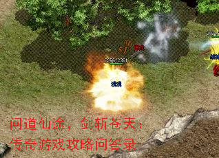 问道仙途,剑斩苍天:传奇游戏攻略问答录 问道仙途,剑斩苍天:传奇游戏攻略问答录