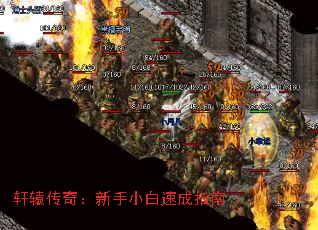 ��ԯ���棺����С���ٳ�ָ��