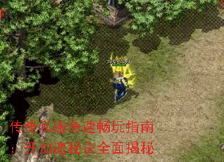 传奇私服急速畅玩指南:开加速秘诀全面揭秘 传奇私服急速畅玩指南:开加速秘诀全面揭秘