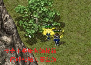 传奇手游服务端秘籍:巅峰秘籍问答全解 传奇手游服务端秘籍:巅峰秘籍问答全解