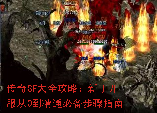 传奇SF大全攻略:新手开服从0到精通必备步骤指南 传奇SF大全攻略:新手开服从0到精通必备步骤指南