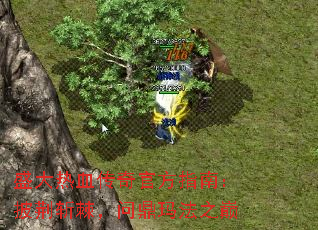 盛大热血传奇官方指南:披荆斩棘,问鼎玛法之巅 盛大热血传奇官方指南:披荆斩棘,问鼎玛法之巅