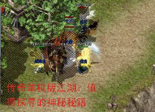 传奇单机版江湖:值得探寻的神秘秘籍 传奇单机版江湖:值得探寻的神秘秘籍