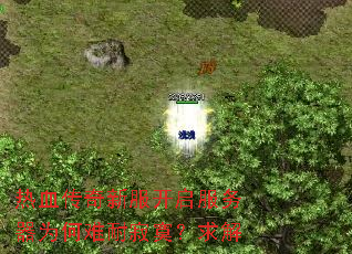 热血传奇新服开启服务器为何难耐寂寞?求解 热血传奇新服开启服务器为何难耐寂寞?求解