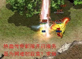 热血传奇新服开启服务器为何难耐寂寞?求解 热血传奇新服开启服务器为何难耐寂寞?求解
