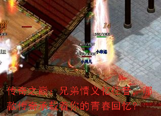 ����֮�ۣ��ֵ��������������Ŀ�����������ഺ���䣿