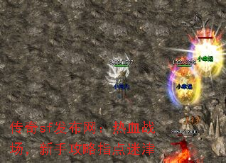 传奇sf发布网:热血战场,新手攻略指点迷津 传奇sf发布网:热血战场,新手攻略指点迷津