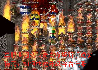 单职业超变传奇高爆版新手逆袭秘籍:如何快速升级称霸全服 单职业超变传奇高爆版新手逆袭秘籍:如何快速升级称霸全服