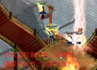 ������ְҵ���棺��ο�������ս�����ư�ȫ����