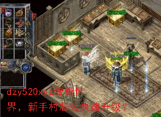 dzy520xyz传奇世界,新手村怎么快速升级? dzy520xyz传奇世界,新手村怎么快速升级?