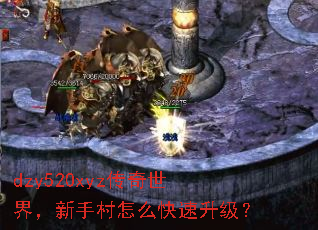 dzy520xyz传奇世界,新手村怎么快速升级? dzy520xyz传奇世界,新手村怎么快速升级?