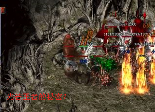 ��â���ߵ����ܣ�