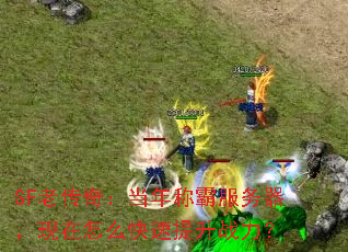 SF老传奇:当年称霸服务器,现在怎么快速提升战力? SF老传奇:当年称霸服务器,现在怎么快速提升战力?