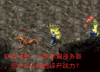 SF老传奇:当年称霸服务器,现在怎么快速提升战力? SF老传奇:当年称霸服务器,现在怎么快速提升战力?