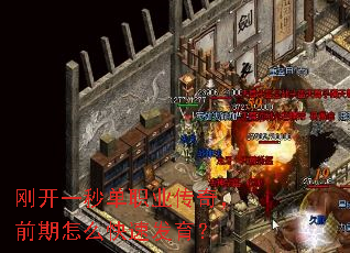 刚开一秒单职业传奇,前期怎么快速发育? 刚开一秒单职业传奇,前期怎么快速发育?