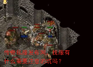 传奇私服发布网,找服有什么需要注意的坑吗? 传奇私服发布网,找服有什么需要注意的坑吗?