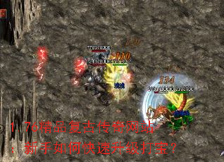 1.76精品复古传奇网站:新手如何快速升级打宝? 1.76精品复古传奇网站:新手如何快速升级打宝?