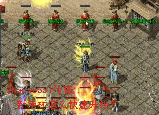 zhaowoool传奇:新手村怎么快速升级? zhaowoool传奇:新手村怎么快速升级?