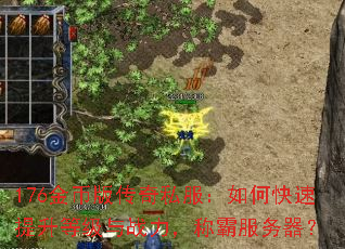 176金币版传奇私服:如何快速提升等级与战力,称霸服务器? 176金币版传奇私服:如何快速提升等级与战力,称霸服务器?