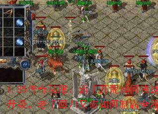 1.85传奇私服:新手开荒如何快速升级,老手回归又该如何制霸全服? 1.85传奇私服:新手开荒如何快速升级,老手回归又该如何制霸全服?