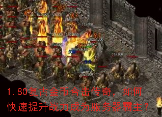 1.80���Ž�Һϻ����棬��ο�������ս����Ϊ������������