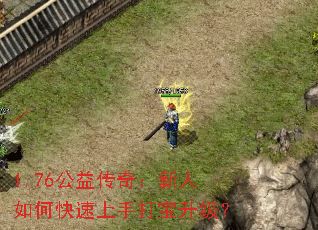 1.76公益传奇:新人如何快速上手打宝升级? 1.76公益传奇:新人如何快速上手打宝升级?